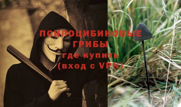 СК Краснослободск