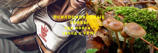 2c-b Куйбышев
