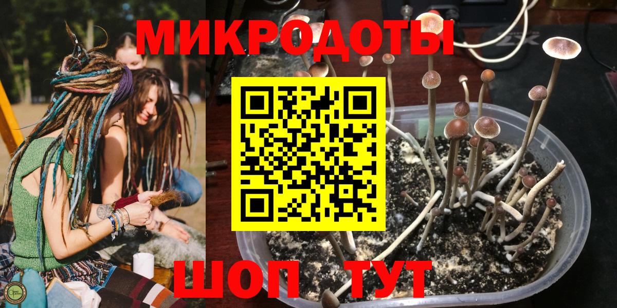 Галлюциногенные грибы ЛСД Сызрань