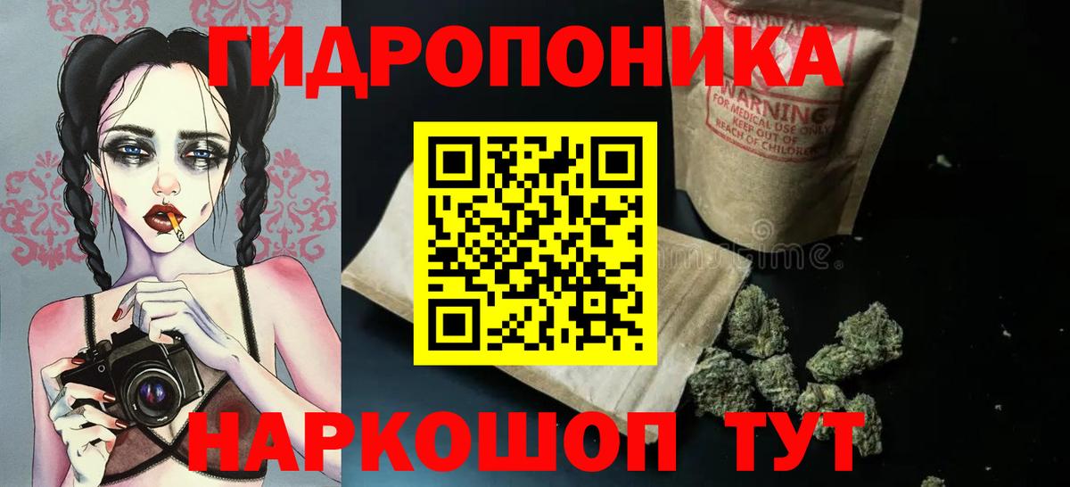 Конопля гибрид Сызрань